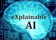 Explainable AI (XAI) Training in Bhutan