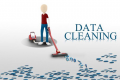 Data Cleaning Training in Bhutan