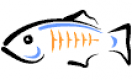 GlassFish Training in Bhutan