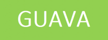 Guava Training in Bhutan