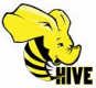 Hive Training in Bhutan