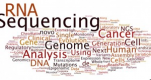 Microbial Genomics Training in Bhutan
