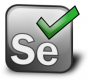 Selenium Training in Bhutan