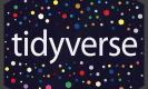 Tidyverse Training in Bhutan