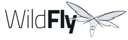 Wildfly Training in Bhutan